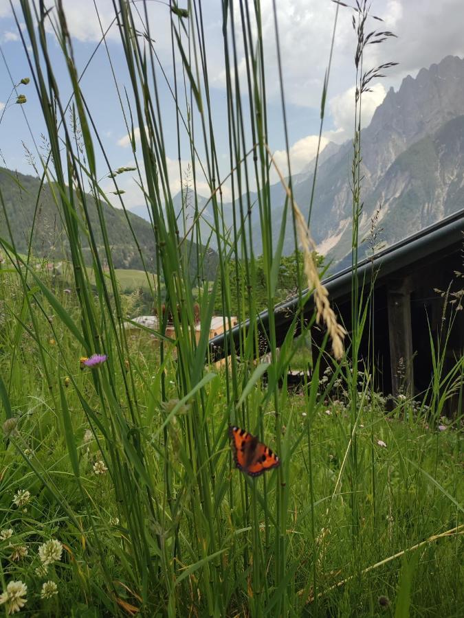 Appartements Obergollerhof Assling ภายนอก รูปภาพ